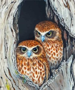 Ninoxe Boobook Birds Couple Paint By Numbers