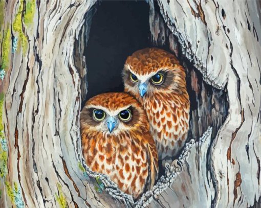 Ninoxe Boobook Birds Couple Paint By Numbers