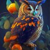 Owl And Oranges Paint By Numbers