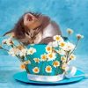 Sleepy Cat In Cup Paint By Numbers