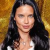 The Model Adriana Lima Paint By Numbers