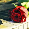 Vintage Red Rose With Piano Keys Paint By Numbers