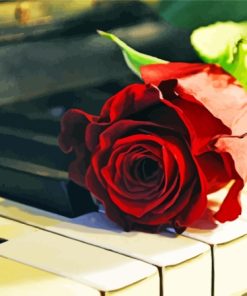 Vintage Red Rose With Piano Keys Paint By Numbers