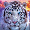 White Blue Eyes Tiger Paint By Numbers