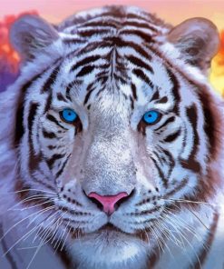 White Blue Eyes Tiger Paint By Numbers