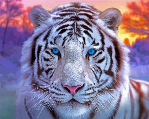 White Blue Eyes Tiger Paint By Numbers