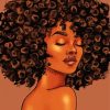 Afro Black Woman Paint By Numbers