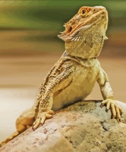 Bearded Dragon Animal Paint By Numbers