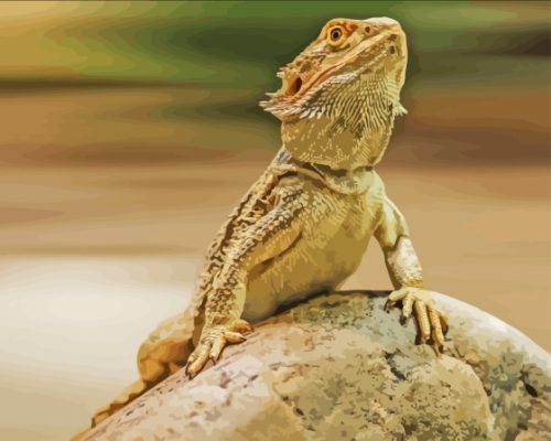 Bearded Dragon Animal Paint By Numbers