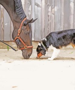 Black Horse With Mini Aussie Paint By Numbers