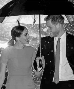 Black And White Harry And Meghan Paint By Numbers