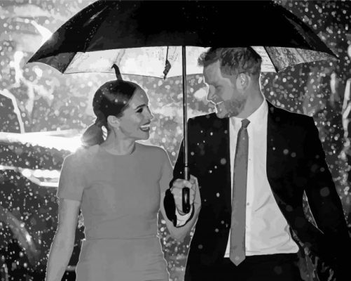 Black And White Harry And Meghan Paint By Numbers