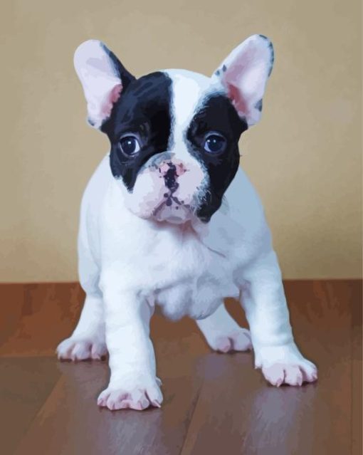 Black And White French Bulldog Paint By Numbers