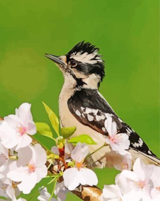 Blossoms Downy Woodpecker Bird Paint By Numbers