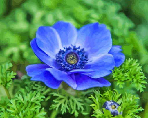 Blue Anenome Paint By Numbers