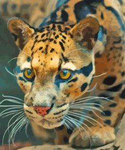 Clouded Leopard Paint By Numbers