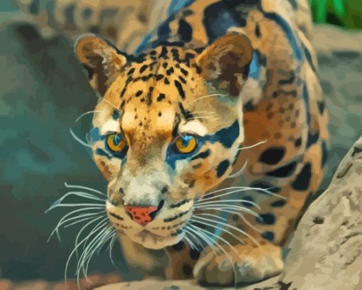 Clouded Leopard Paint By Numbers