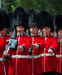 Coldstream Guards British Army Paint By Numbers