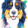 Colorful Bernese Mountain Dog Paint By Numbers