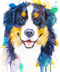 Colorful Bernese Mountain Dog Paint By Numbers