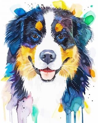 Colorful Bernese Mountain Dog Paint By Numbers