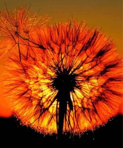 Dandelion Silhouette Sunset Paint By Numbers