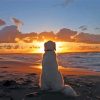 Dog In The Beach Sunset Paint By Numbers