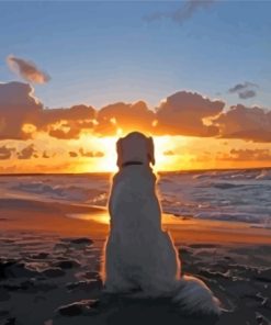 Dog In The Beach Sunset Paint By Numbers