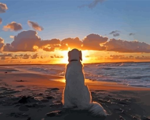 Dog In The Beach Sunset Paint By Numbers