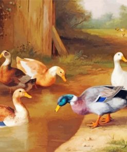 Duck And Farm Paint By Numbers