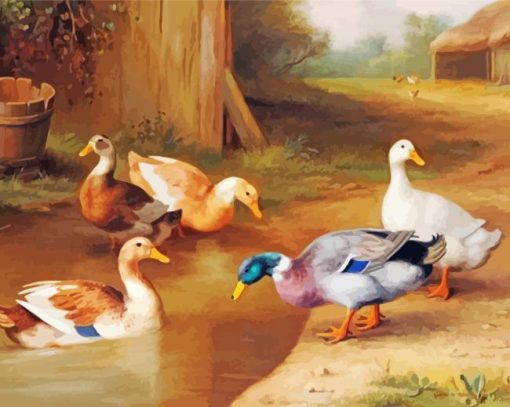 Duck And Farm Paint By Numbers