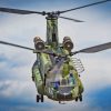 Flying Chinook Paint By Numbers