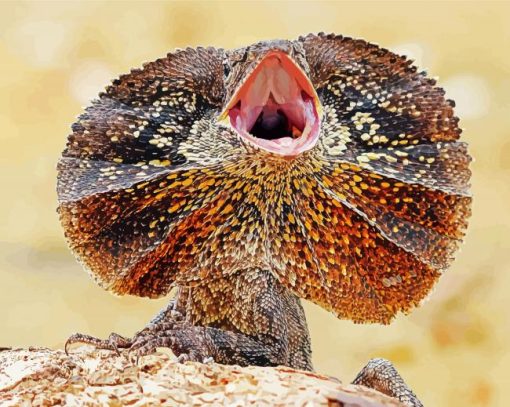 Frilled Lizard Paint By Numbers