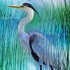 Grey Herron Bird Paint By Numbers