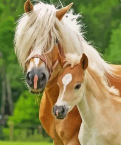 Haflinger Horse Mother And Foal Paint By Numbers