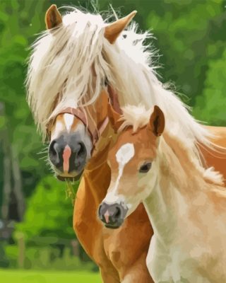 Haflinger Horse Mother And Foal Paint By Numbers