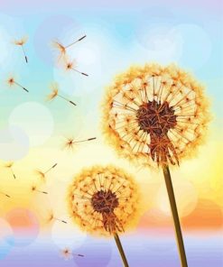 Illustration Sunset Dandelions Paint By Numbers