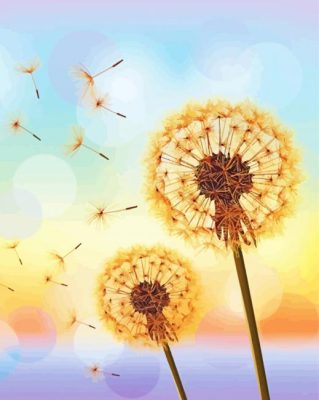 Illustration Sunset Dandelions Paint By Numbers