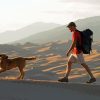 Man Hiking With Dog Paint By Numbers