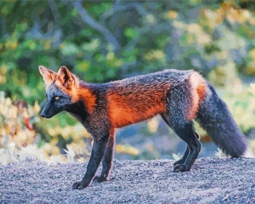 Melanistic Fox Side View Paint By Numbers