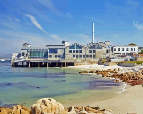 Monterey Bay Aquarium USA Paint By Numbers