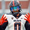 Oregon State Beavers Paint By Numbers