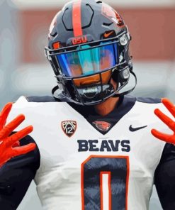 Oregon State Beavers Paint By Numbers