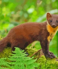 Pine Marten Animal Paint By Numbers