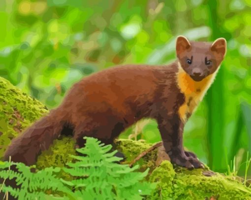 Pine Marten Animal Paint By Numbers