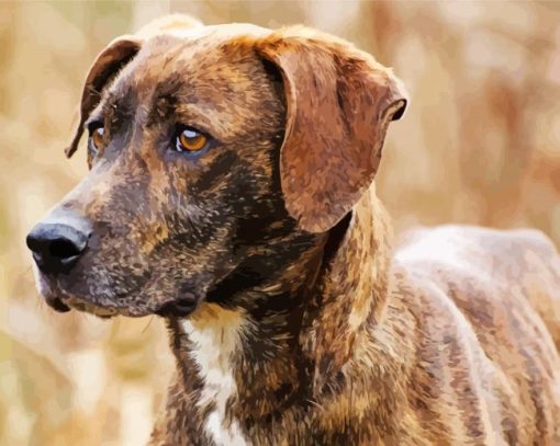 Plott Hound Pet Paint By Numbers