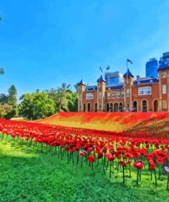 Poppies And Building Paint By Numbers