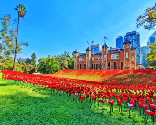 Poppies And Building Paint By Numbers