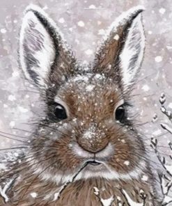 Rabbit In Snow Paint By Numbers