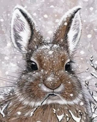 Rabbit In Snow Paint By Numbers